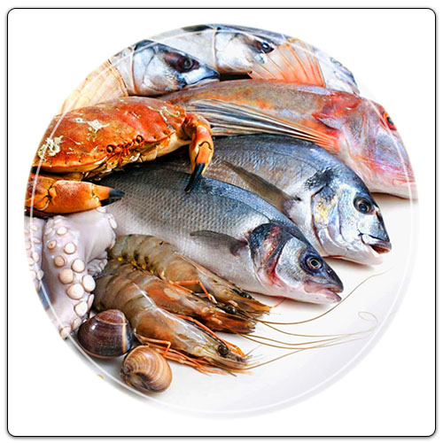 Poisson frais en direct de Boulogne