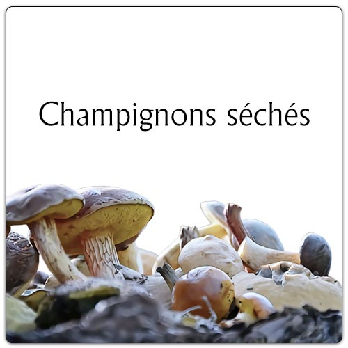 titre_articles_champignons