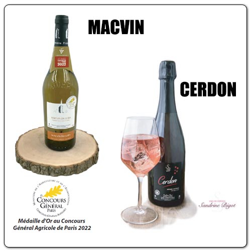 titre_articles_macvin