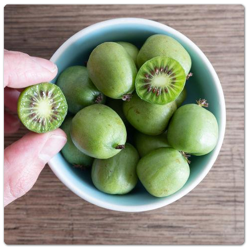 titre_articles_mini_kiwi
